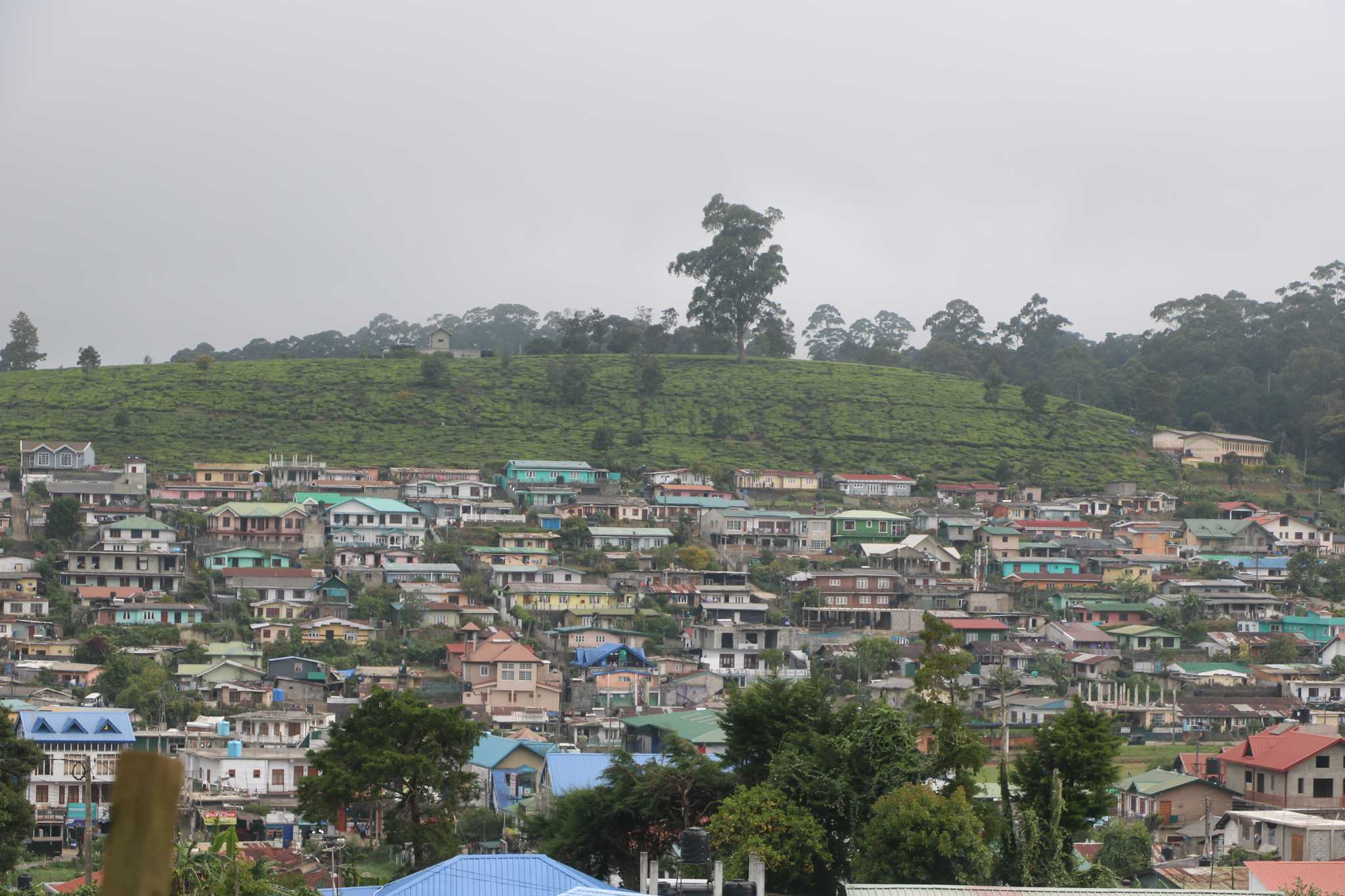 Maisons colorées