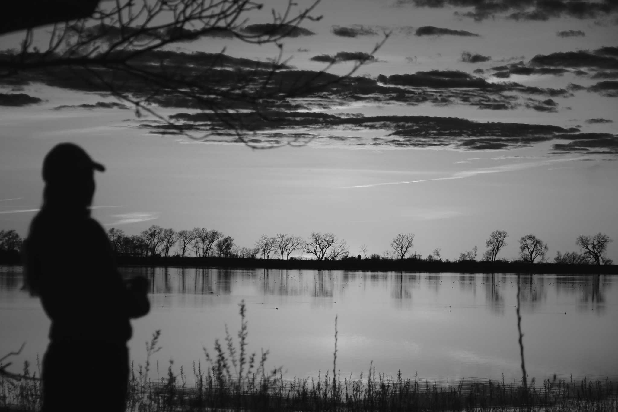 Ombre au bord d'un lac au coucher de soleil